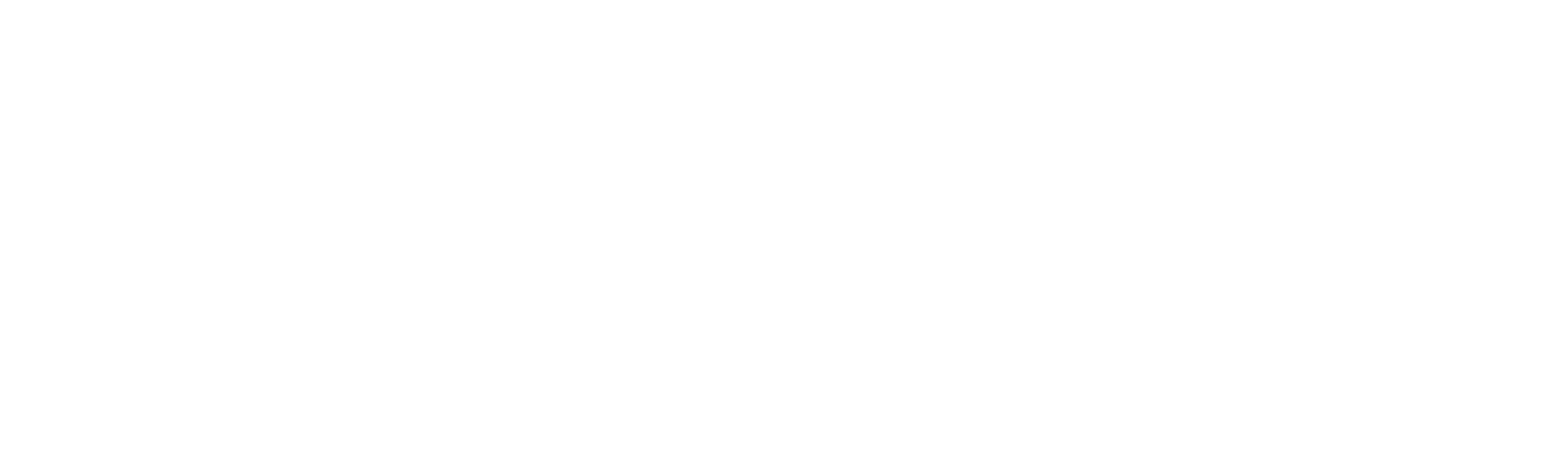 The dynamometer in block diagram form.